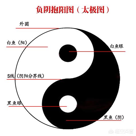 太極圖方向|太极图的转向，顺时针还是逆时针正确？